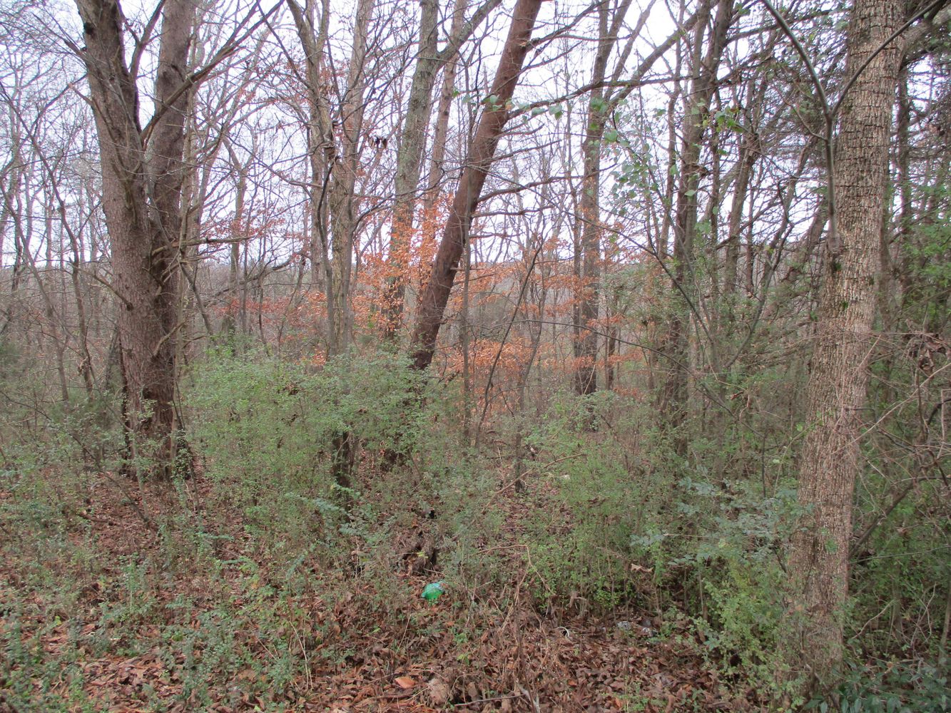 Highway 11 & County Rd 716: Highway 11 & County Rd 716, Riceville, TN 37370